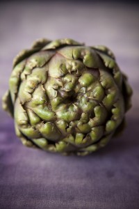 artichoke_01