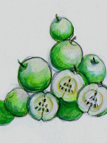 kds green apples holidays (1) 2