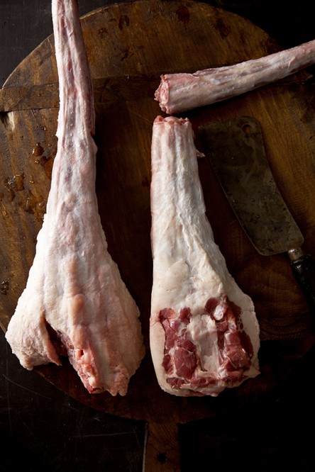Oxtail Image