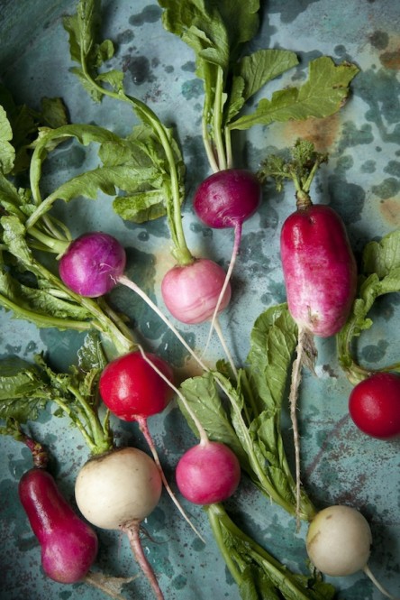 Spring Radishes