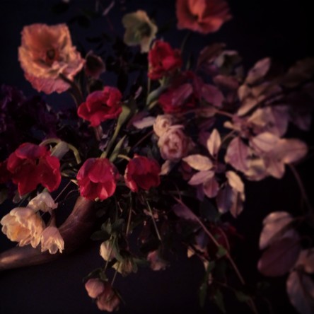 flowers and bones (4)