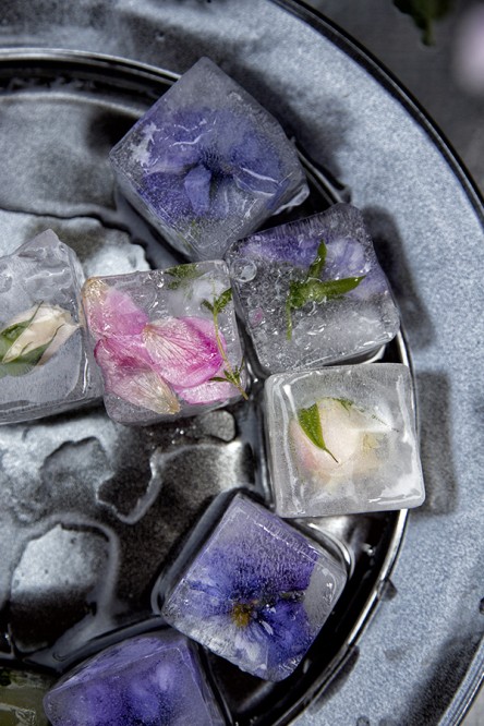 Edible Flower Ice Cubes (Chia Chong and Libbie Summers)
