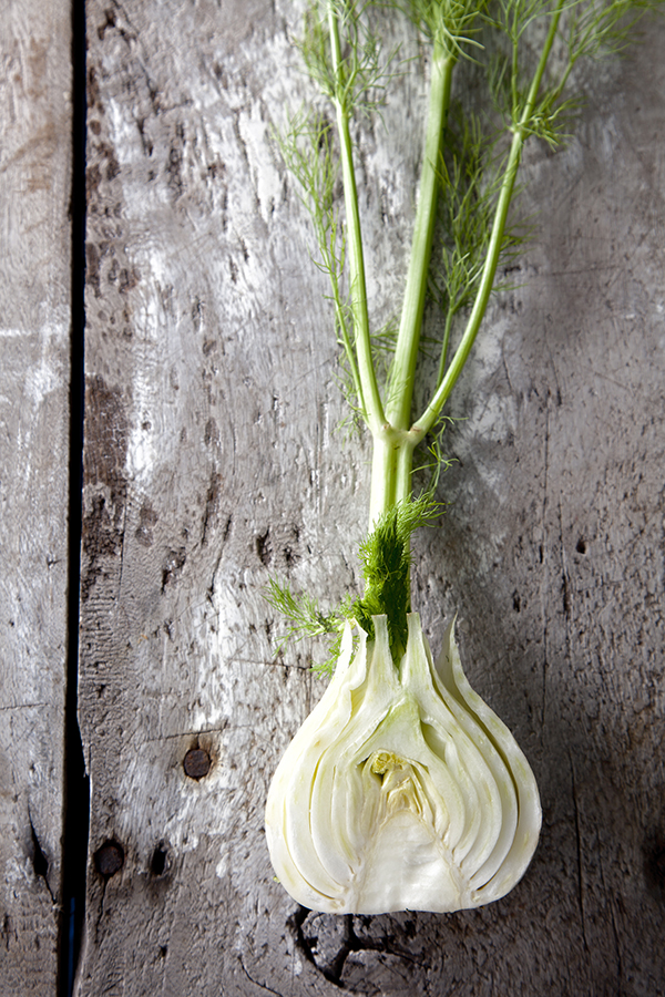 20130424_ss_fennel_01