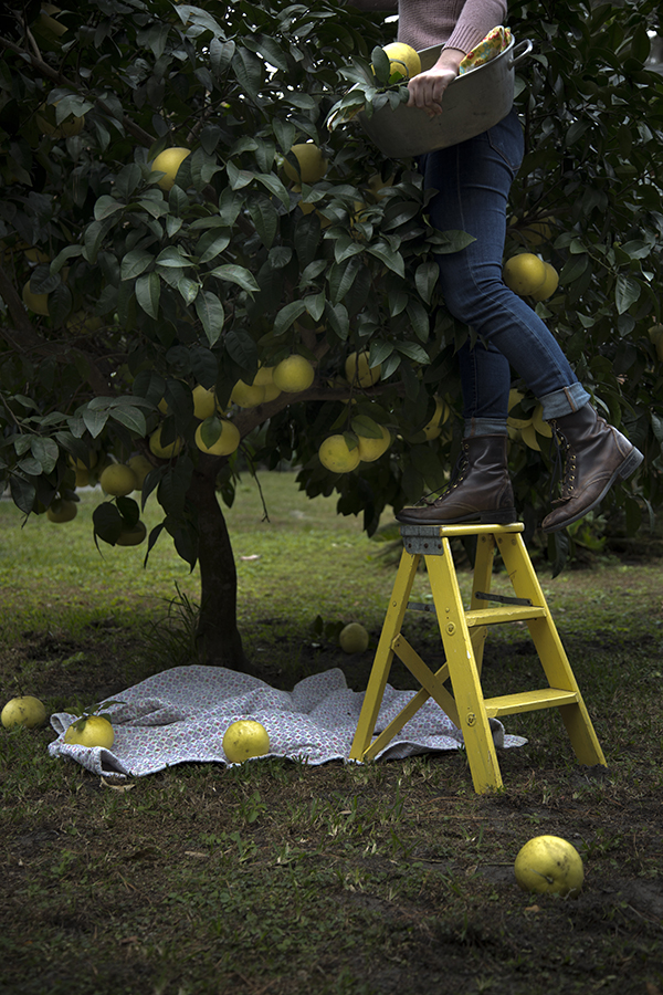 Grapefruit Picking (Libbie Summers and Chia Chong for Salted and Styled)