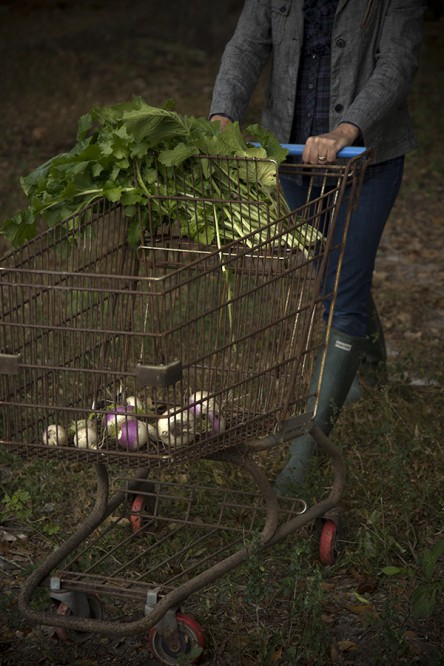 Turnip Cart (Libbie Summers and Chia Chong for Salted and Styled)