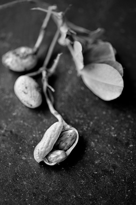 Georgia Peanuts (Chia Chong for Salted and Styled)