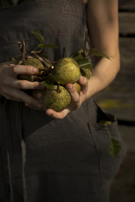 Pears (Chia Chong and Libbie Summers for Salted and Styled)