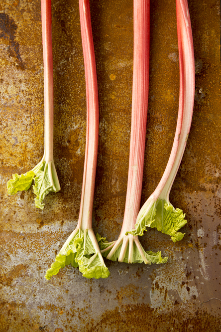 Rhubarb Stalks (Chia Chong and Libbie Summers for Salted and Styled)